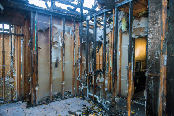 Professional Emergency Fire Damage Restoration technician working in Carnation, WA